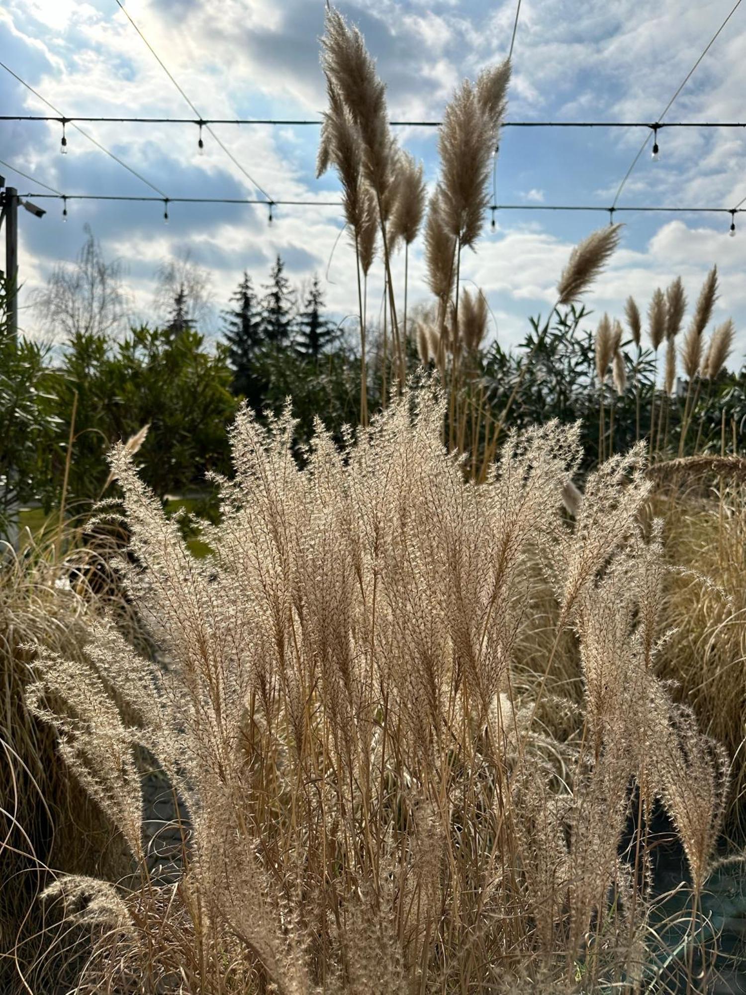 Eurohotel Swarzędz Buitenkant foto